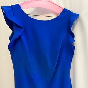 Calvin Klein size 4 ruffle sleeve dress